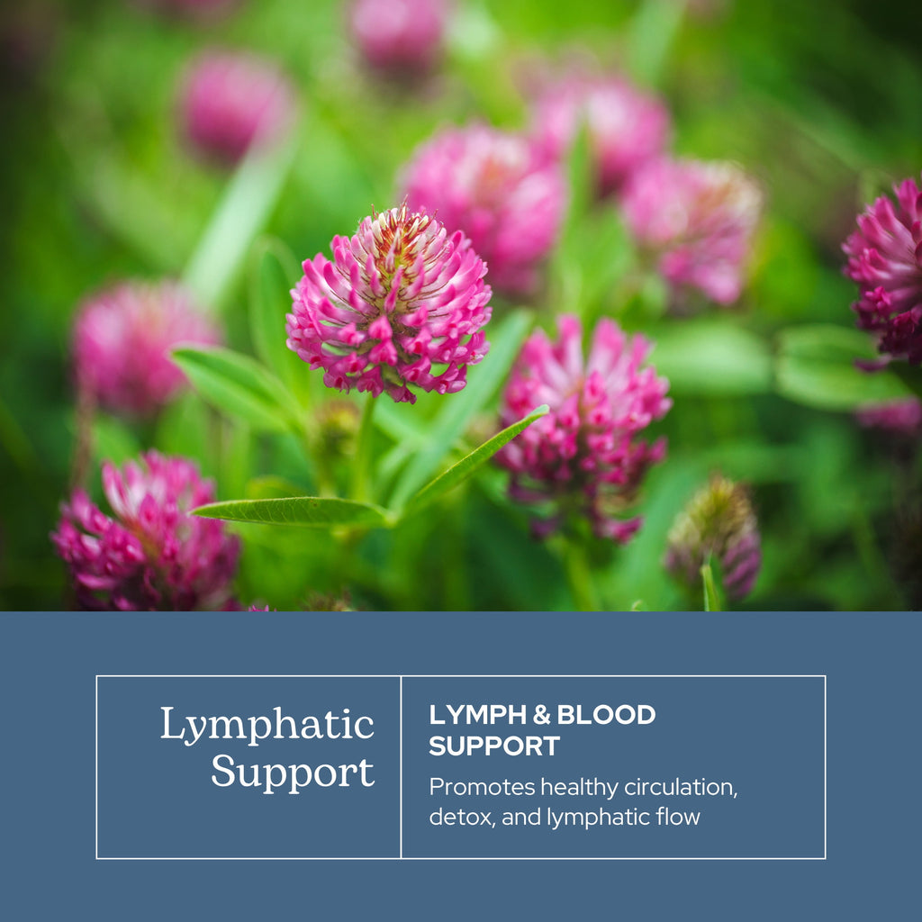 Eclectic Herb Freeze Dried, Lymphatic & Blood Cleanse, 285 mg, 45 Veg Caps