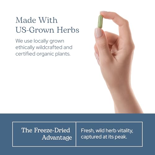 Eclectic Herb - Organic Black Raspberry Capsules (90 CT | 300 mg)