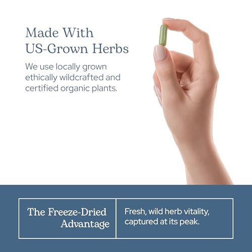 Eclectic Herb - Premium Freeze Dried Milk Thistle Capsules (240 CT | 600 mg)