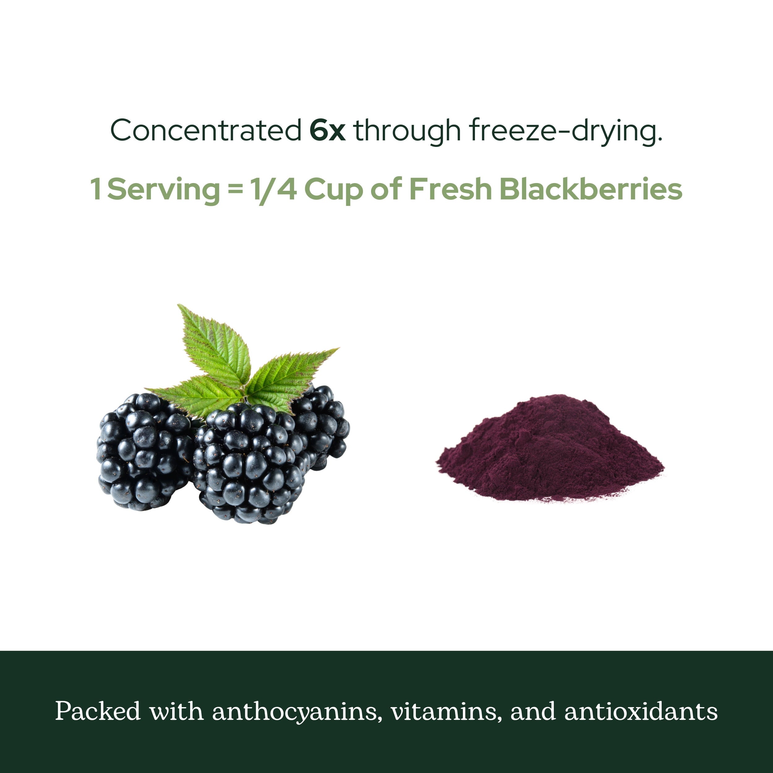Eclectic Herb Blackberry Powder Freeze-Dried 90 g Powder