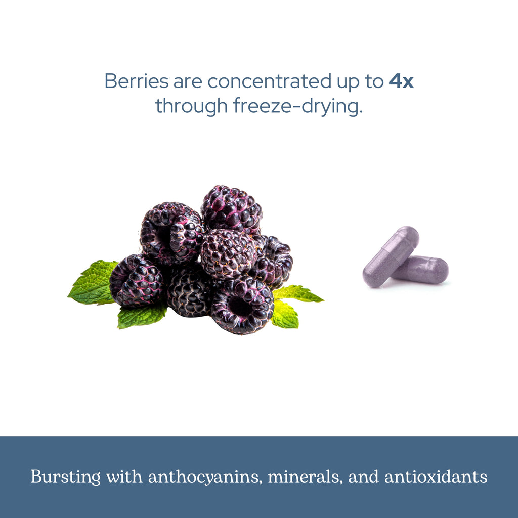 Eclectic Herb Black Raspberry, 300 mg, 90 Veg Caps