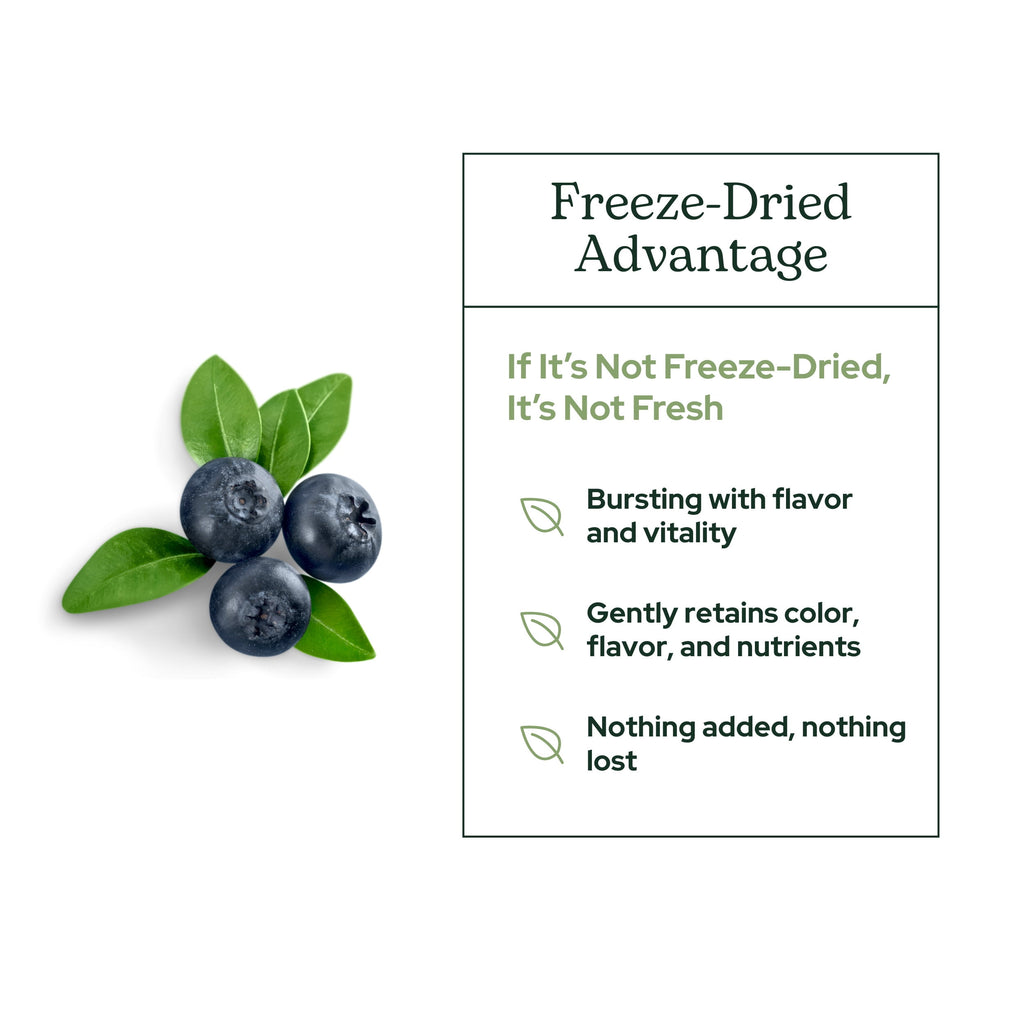 Eclectic Herb Bilberry Powder, 3.2 oz (90 g)