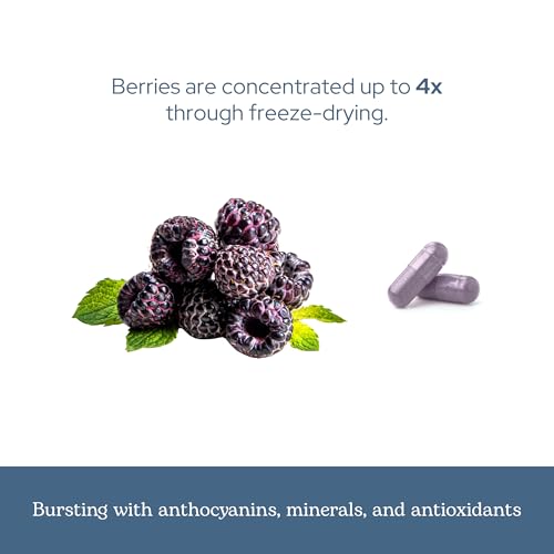 Eclectic Herb - Organic Black Raspberry Capsules (90 CT | 300 mg)