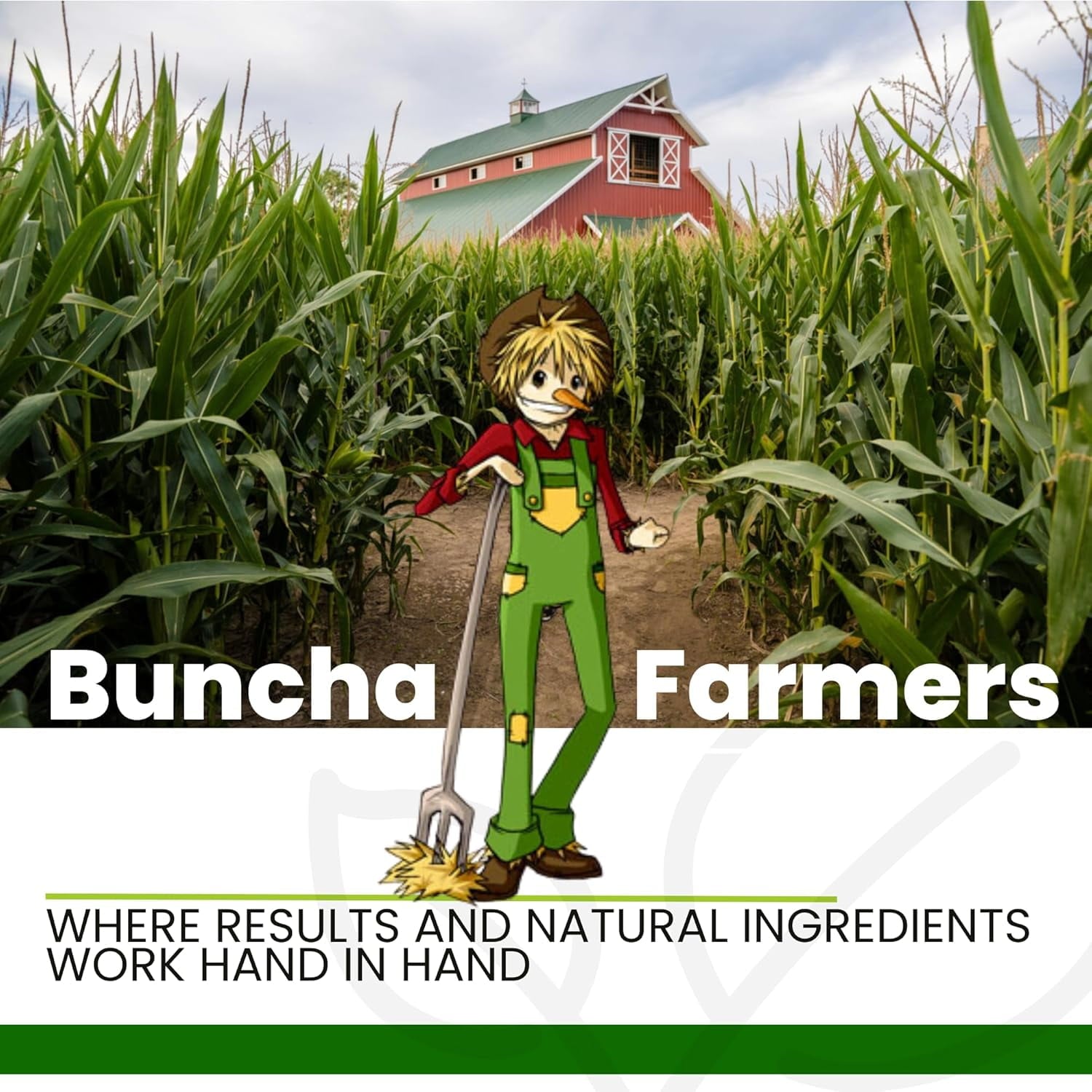 BunchaFarmers Stain Remover Box, 2.14 Oz.