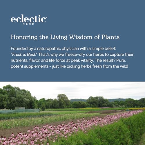 Eclectic Herb - Organic Black Raspberry Capsules (90 CT | 300 mg)