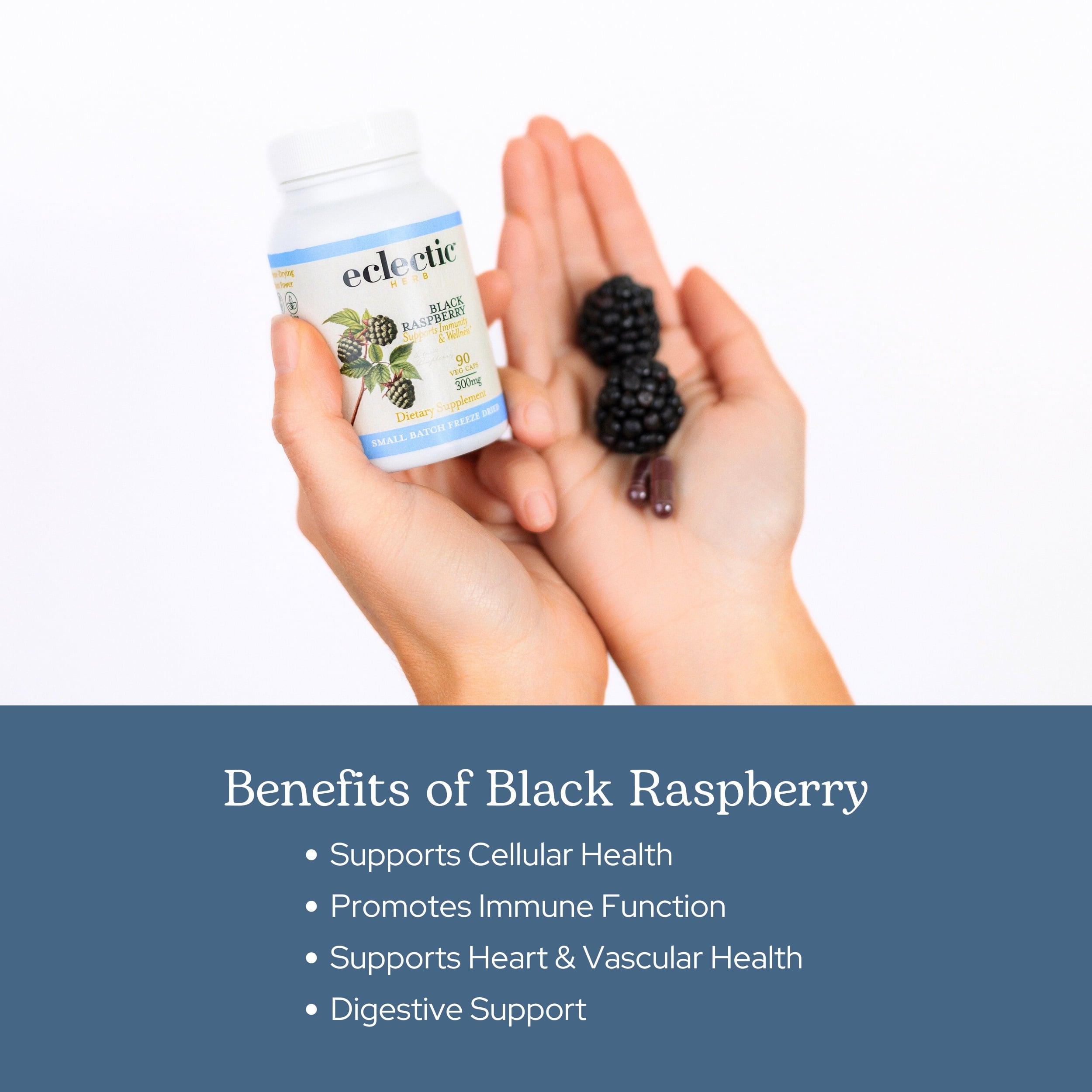 Eclectic Herb Black Raspberry, 300 mg, 90 Veg Caps