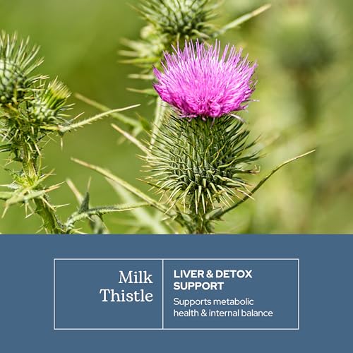 Eclectic Herb - Premium Freeze Dried Milk Thistle Capsules (240 CT | 600 mg)