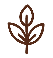 Organic Greens & Superfoods