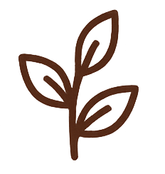 Holistic Herbal Remedies