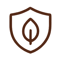 Advanced Immune Support