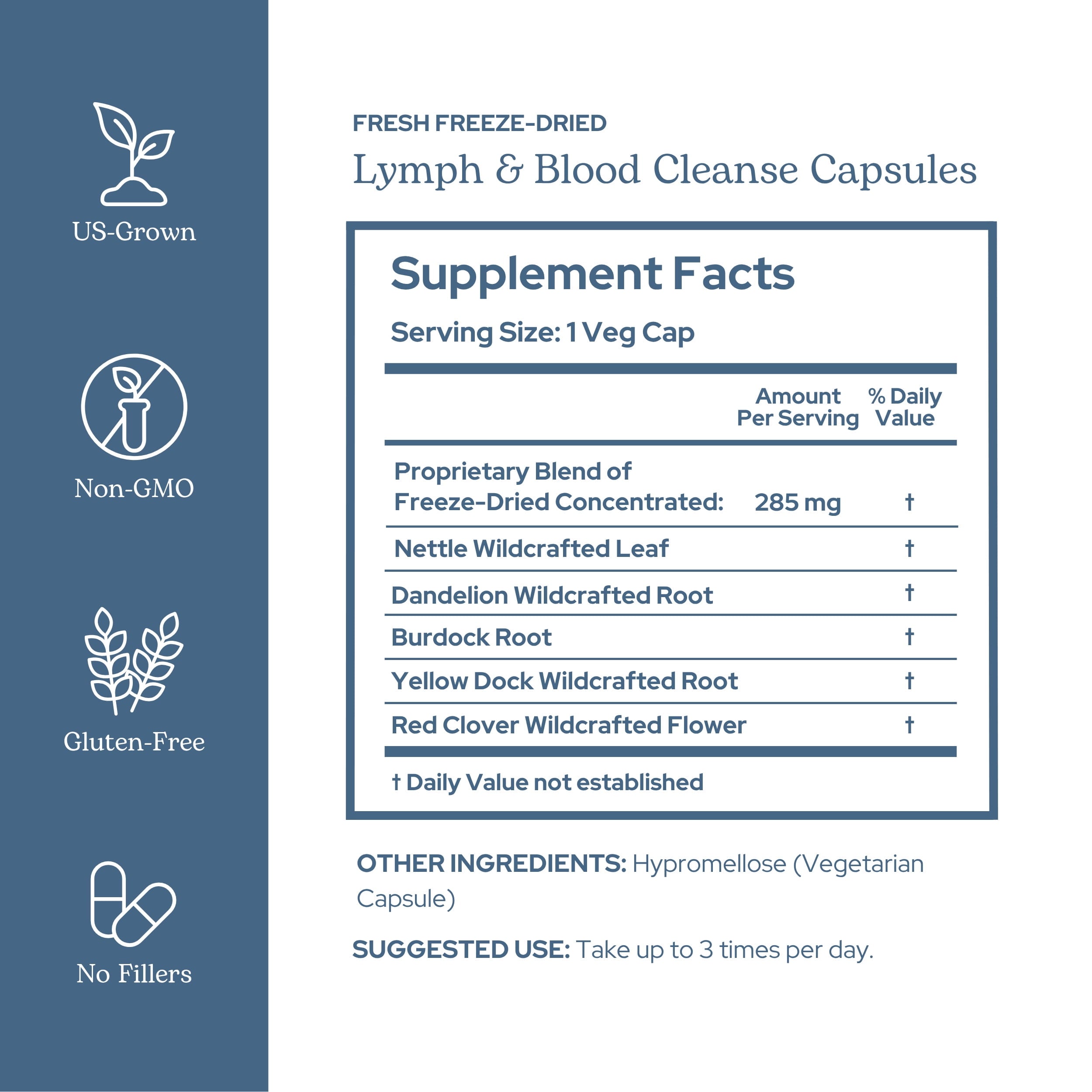 Eclectic Herb Freeze Dried, Lymphatic & Blood Cleanse, 285 mg, 45 Veg Caps