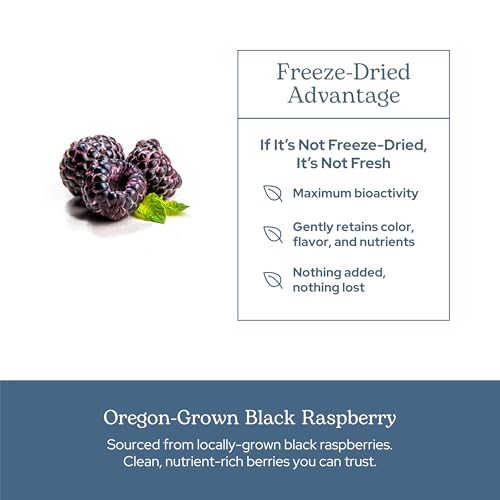 Eclectic Herb - Organic Black Raspberry Capsules (90 CT | 300 mg)