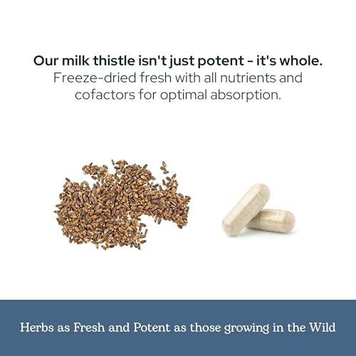 Eclectic Herb - Premium Freeze Dried Milk Thistle Capsules (240 CT | 600 mg)