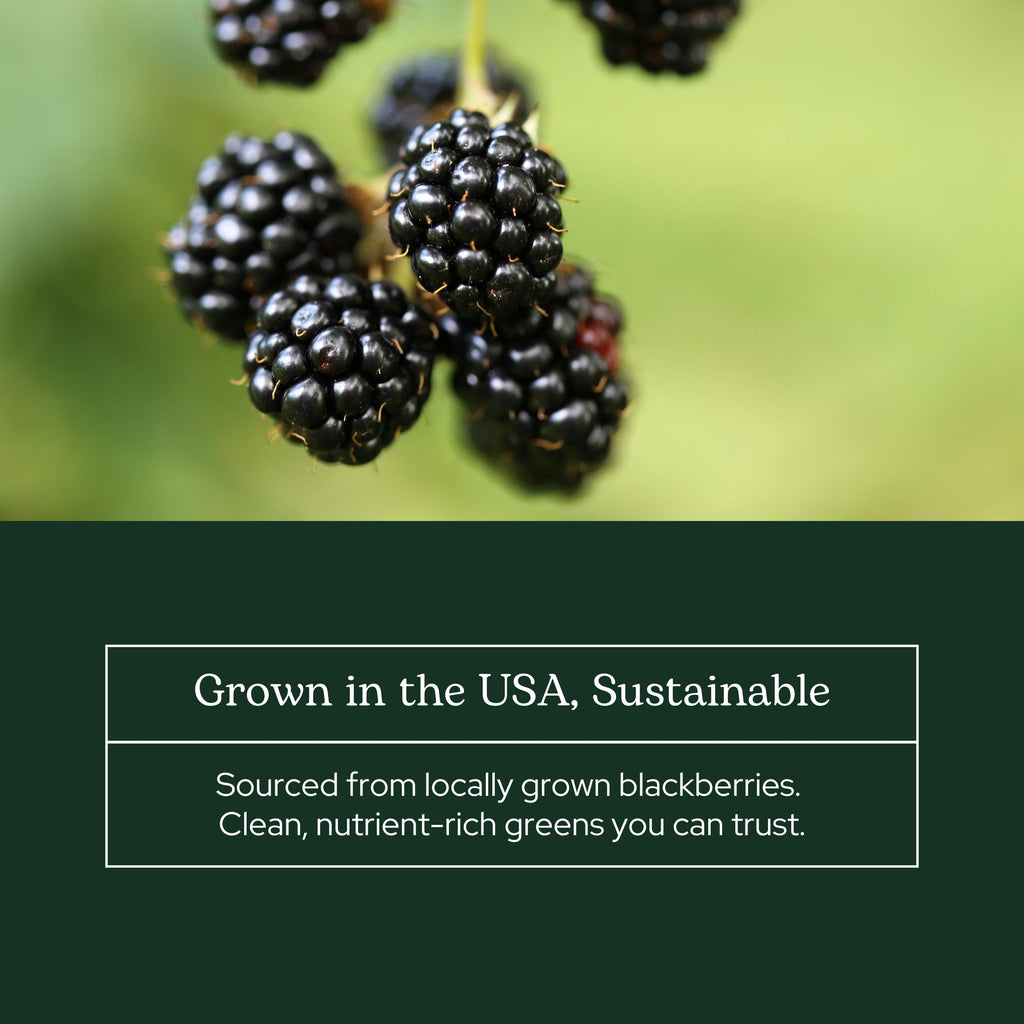 Eclectic Herb Blackberry Powder Freeze-Dried 90 g Powder